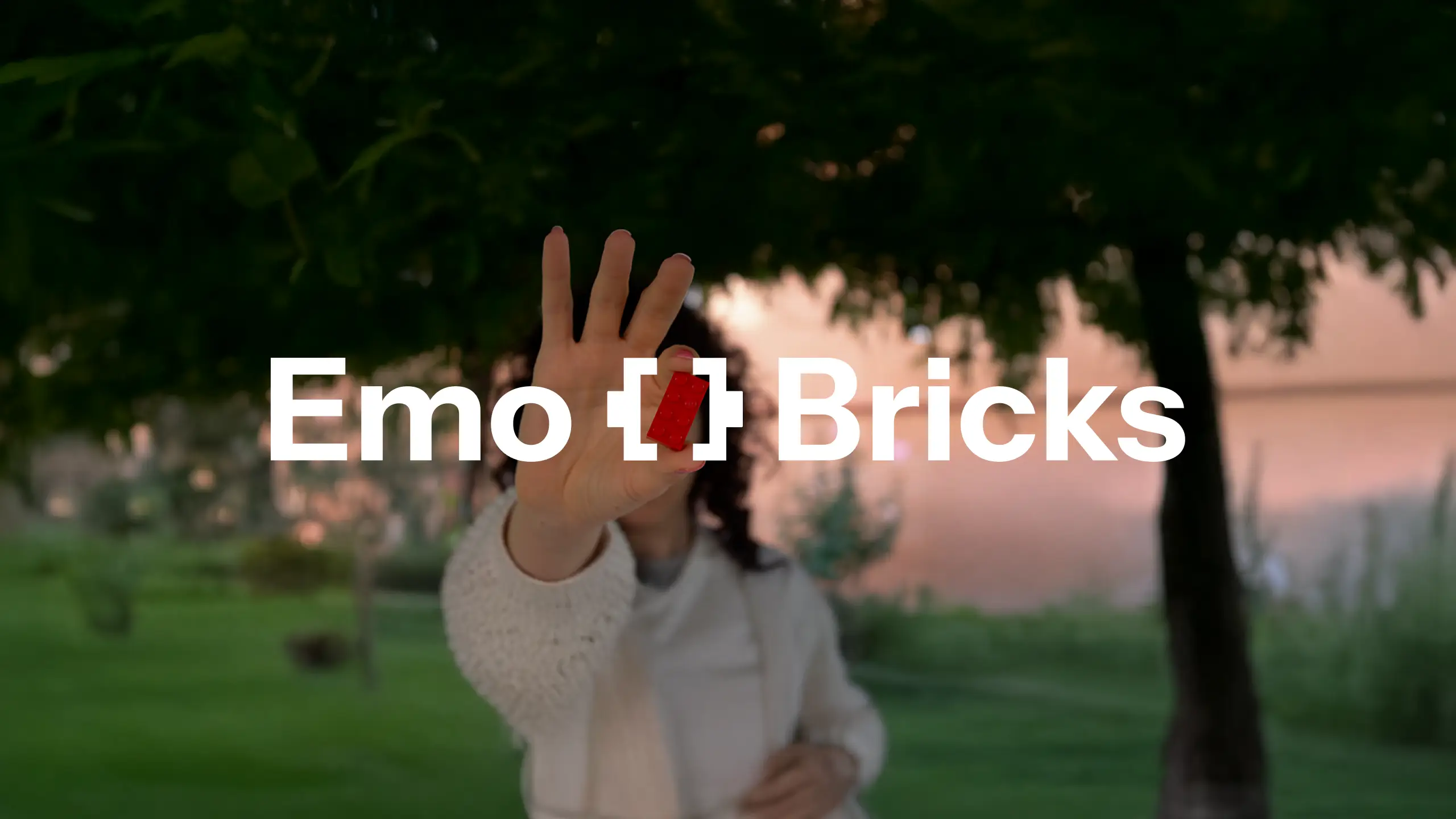 Versión horizontal del logotipo de Emo [ ] Bricks en el entorno real